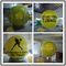Digital Printing Sport Balloons
